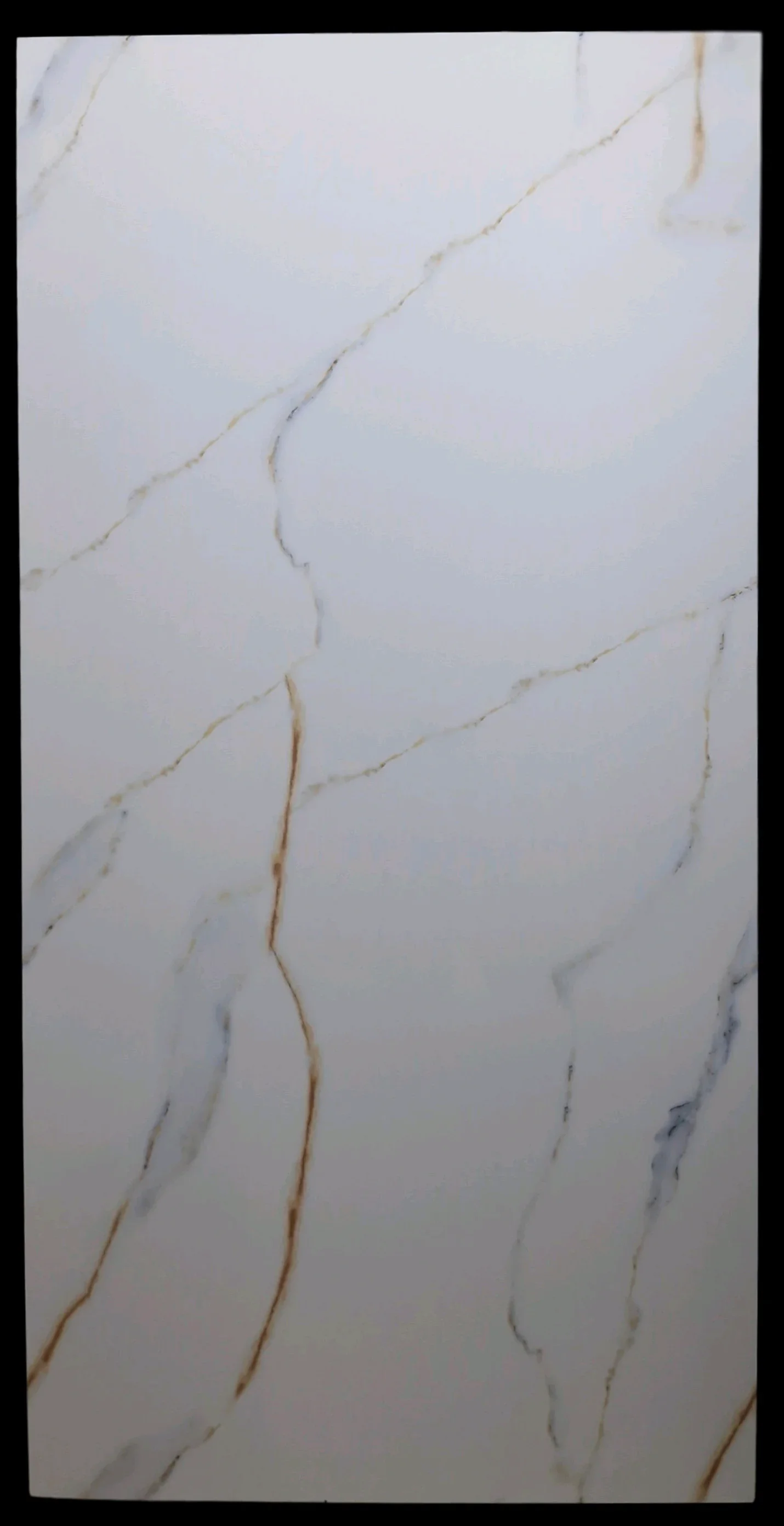 GLOSS ENDLESS CARARA LINE