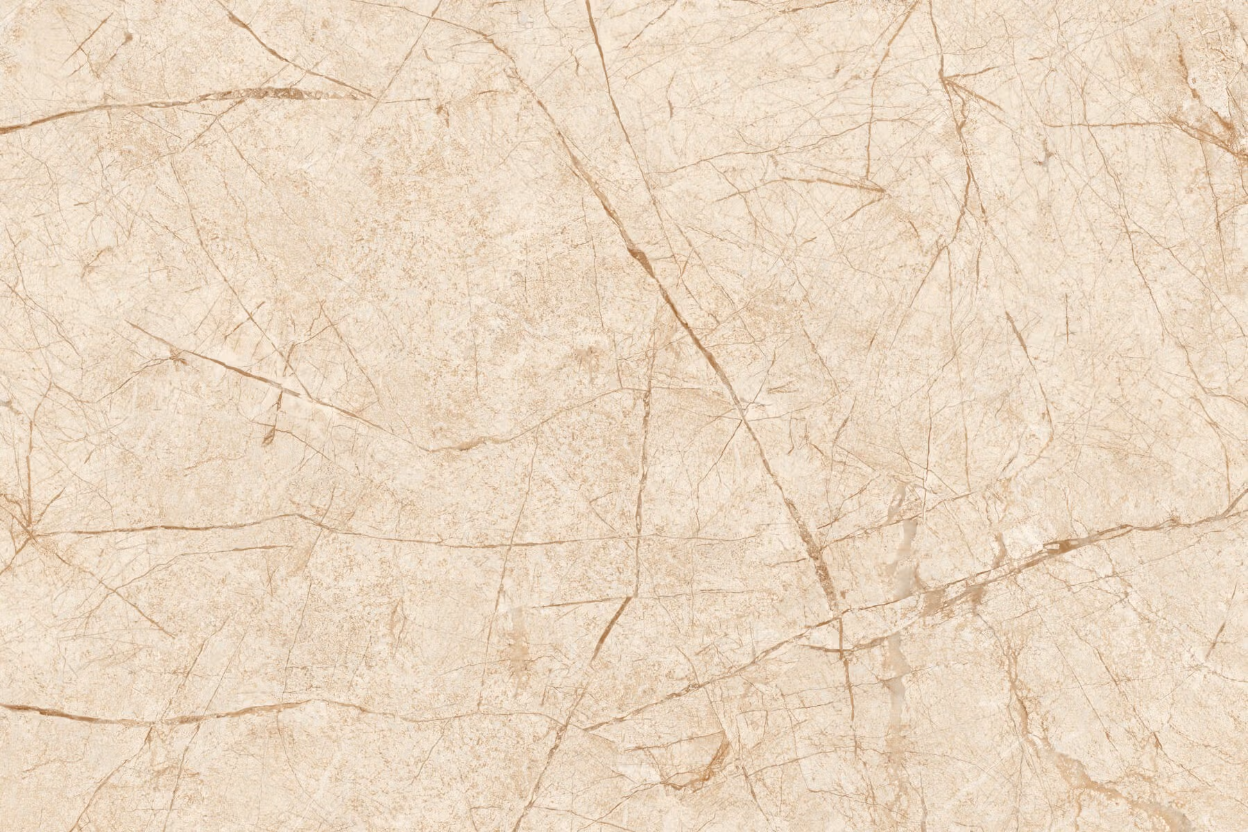 SDG Hibiscus Brown DK