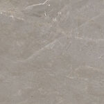 Tulip Dove - thumb 1