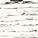 DRAGON WHITE - thumb 4