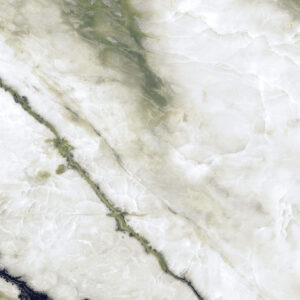 STELLA GREEN - thumb 2