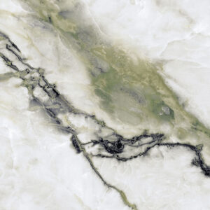 STELLA GREEN - thumb 4