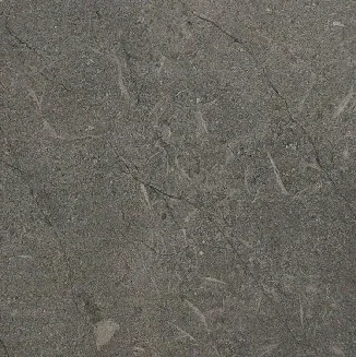 LITHIA BROWN FL - thumb 1