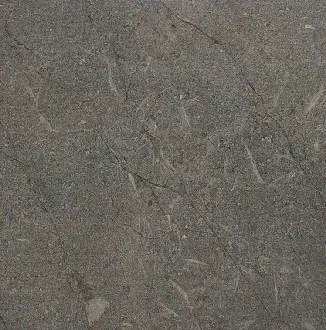 LITHIA BROWN FL - thumb 2