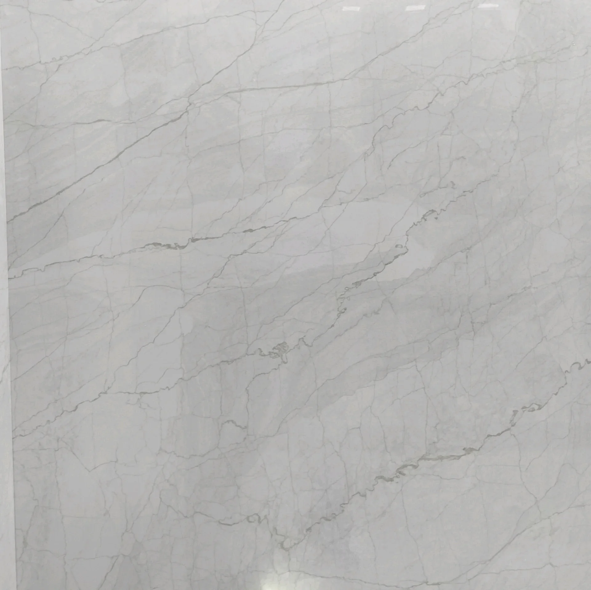 SPIDER MARBLE