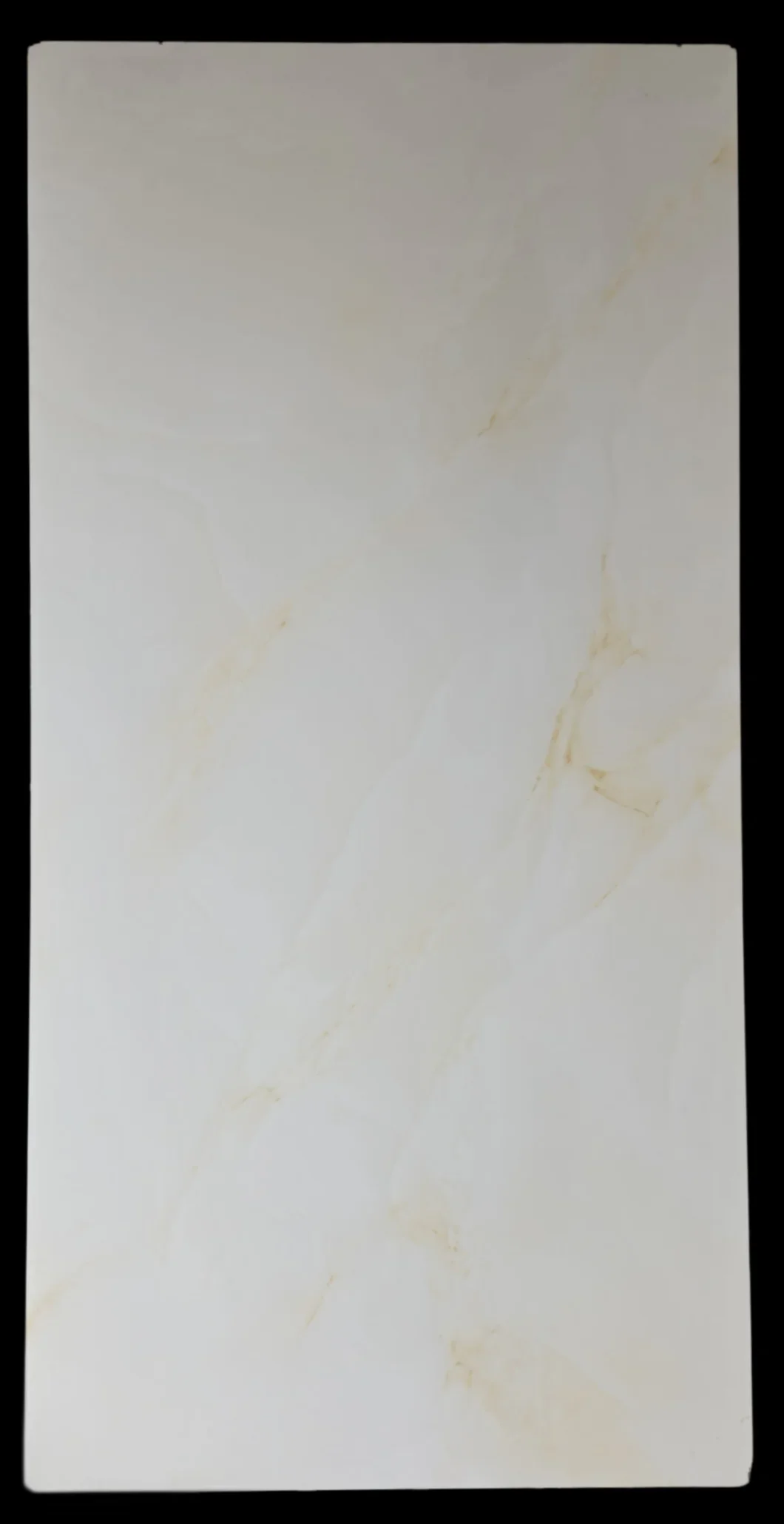 PGVT FOG ONYX BEIGE - thumb 3
