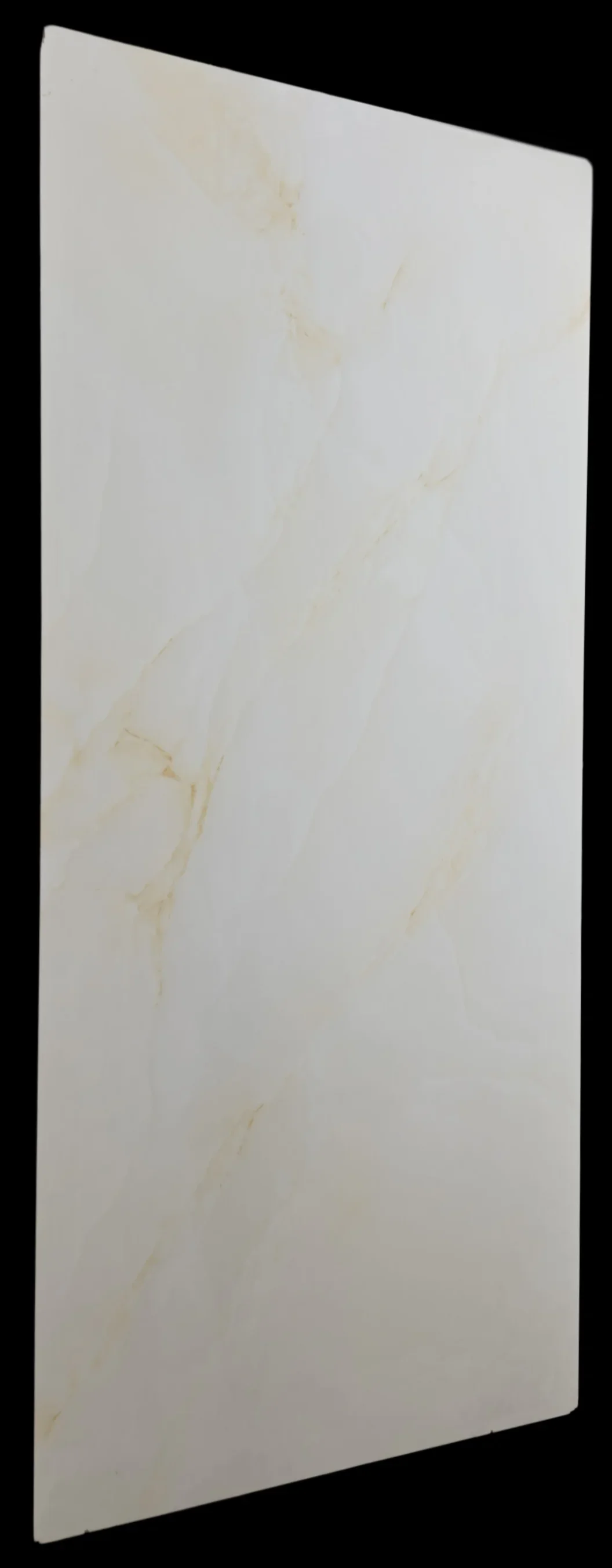 PGVT FOG ONYX BEIGE - thumb 5