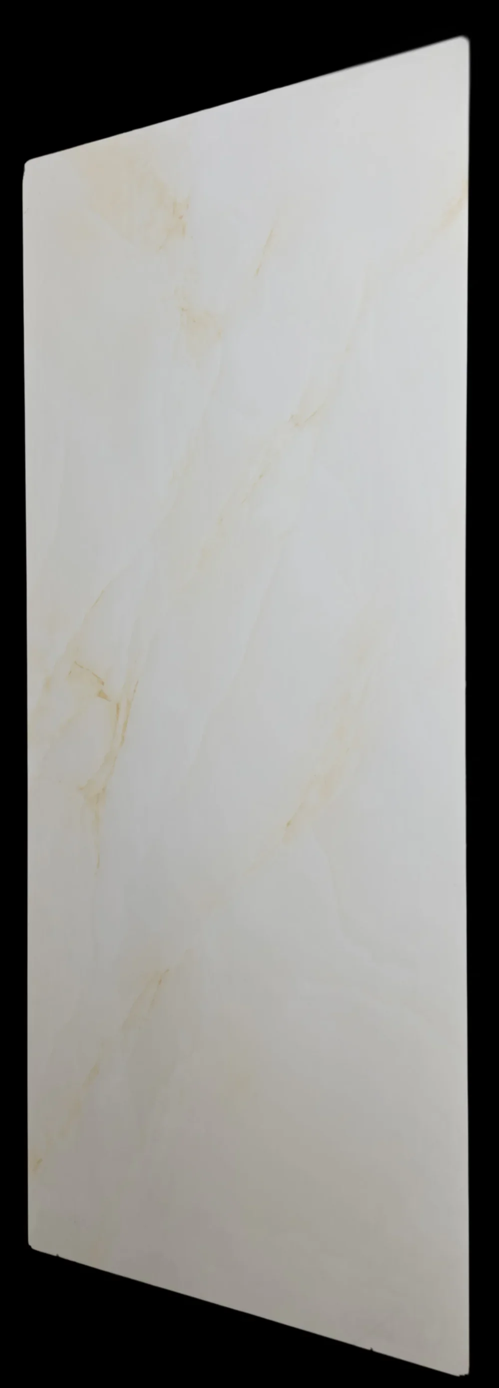 PGVT FOG ONYX BEIGE - thumb 6