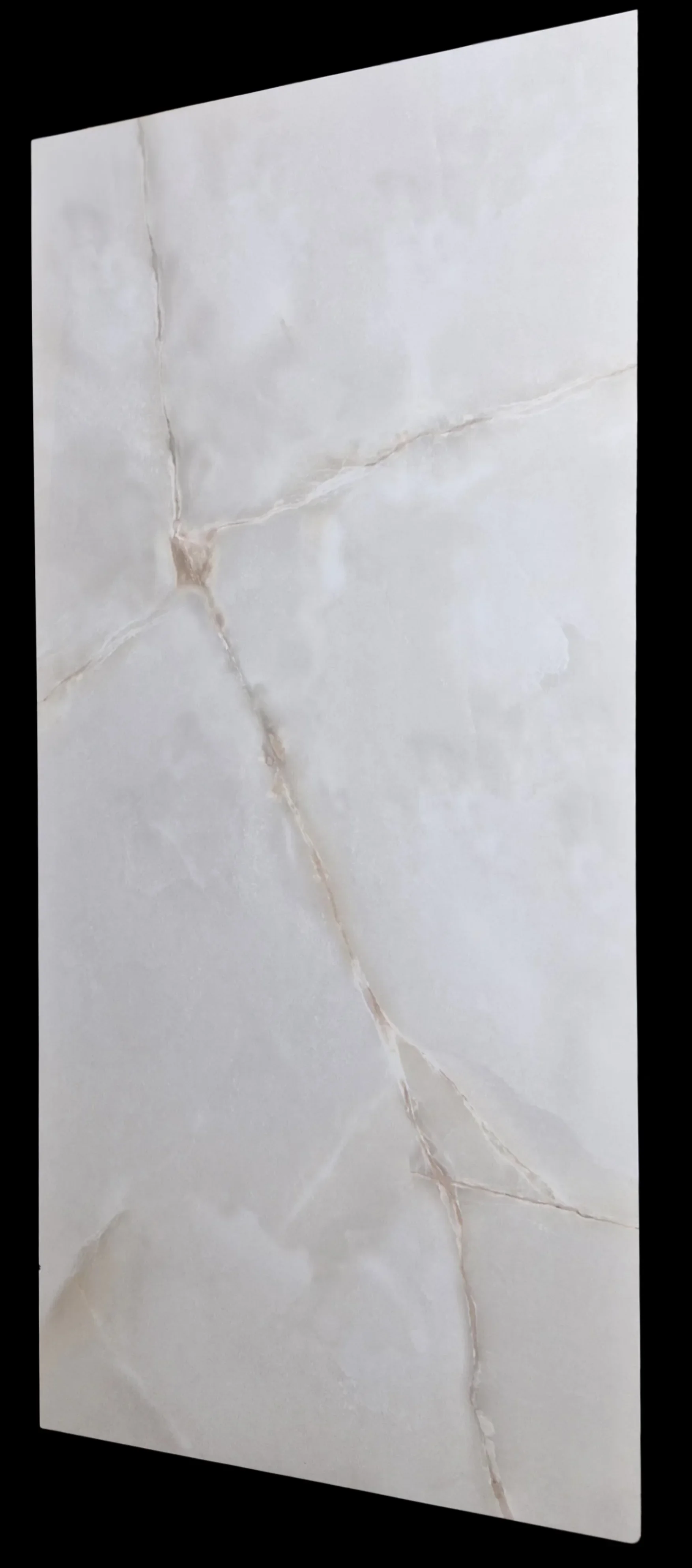 PGVT ONYX PEARL - thumb 6