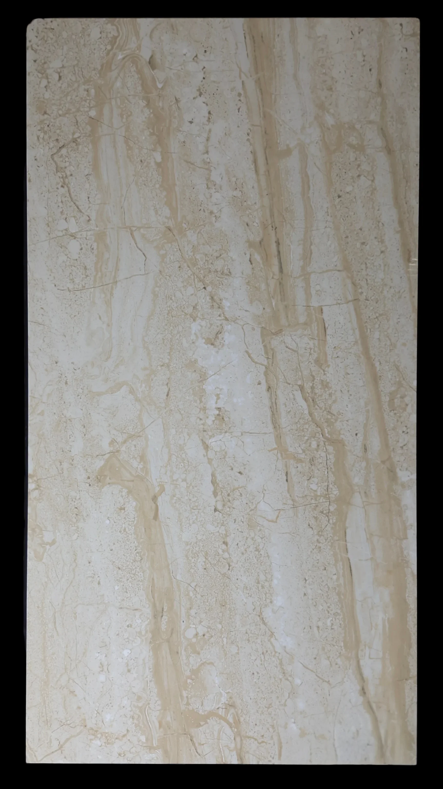 PGVT ROYAL DYNA BEIGE - thumb 3