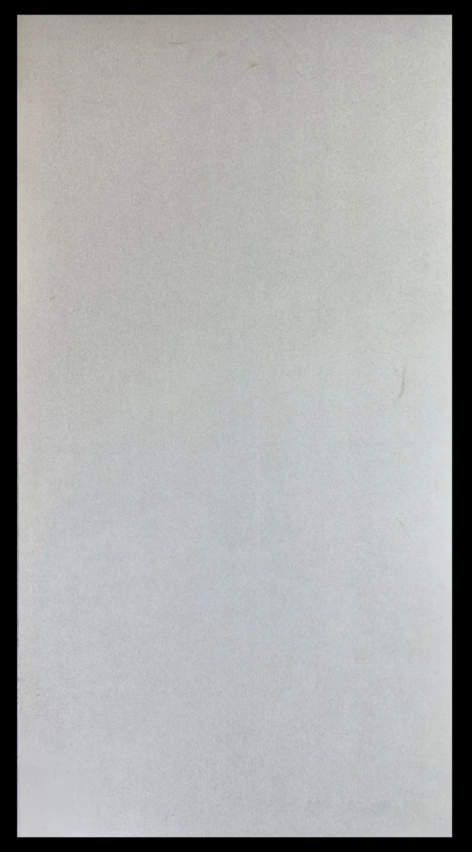 DGVT SAND BEIGE - thumb 3